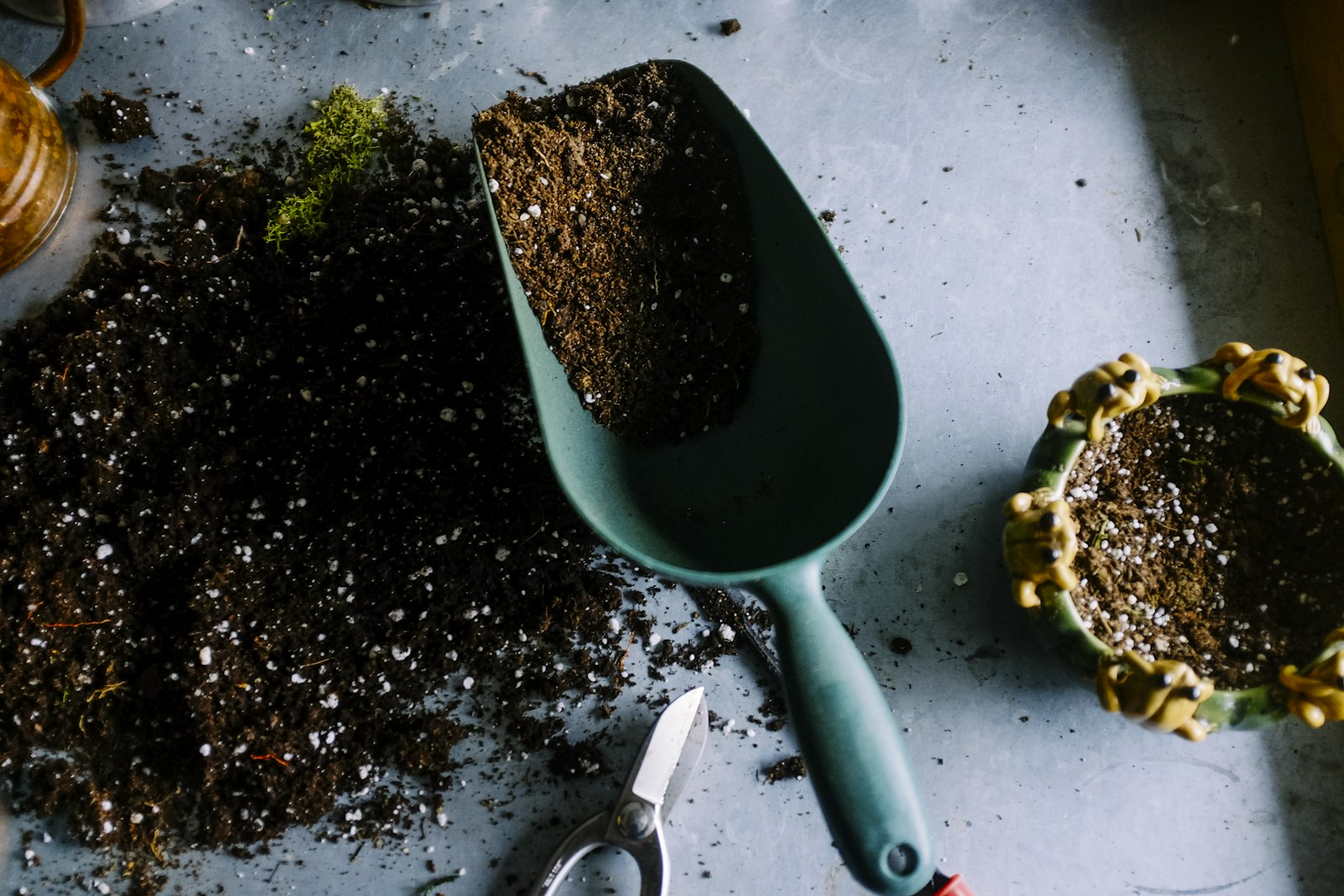 Why hydroponics is the future of fresh food